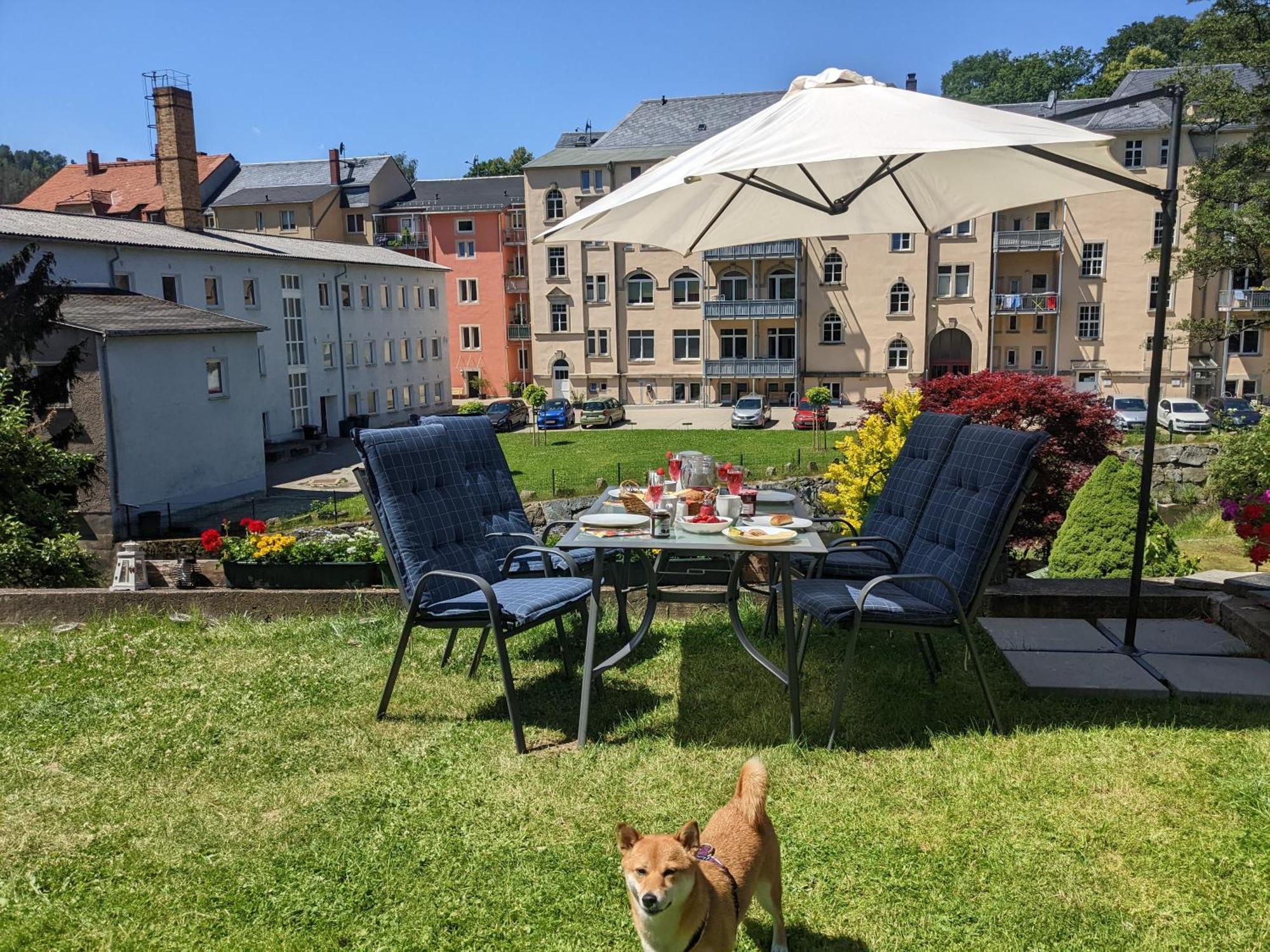 Hw2B - Urlaubsmagie - Wohlfuehlwohnung Mit Balkon, Pool, Sauna & Terrasse Sebnitz Luaran gambar