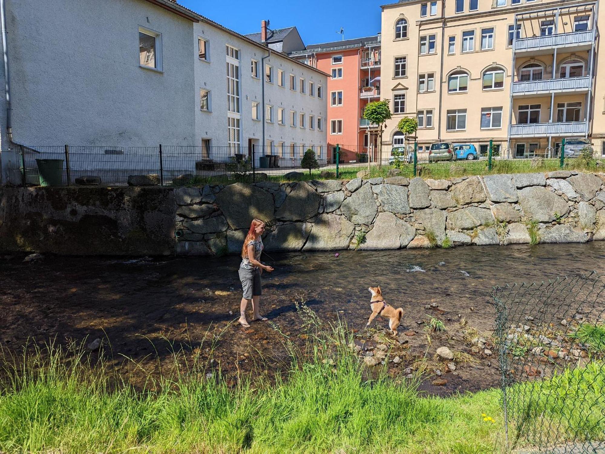 Hw2B - Urlaubsmagie - Wohlfuehlwohnung Mit Balkon, Pool, Sauna & Terrasse Sebnitz Luaran gambar