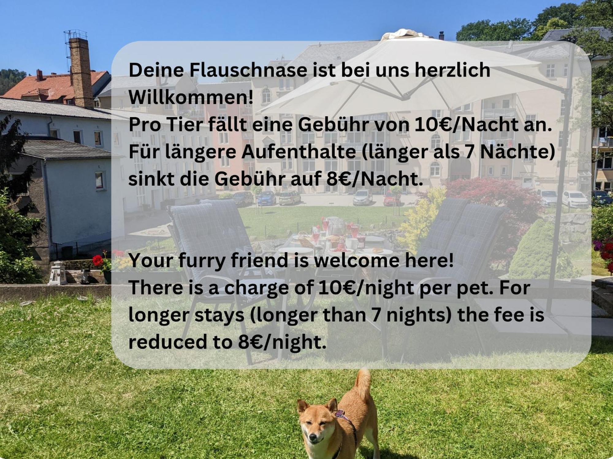 Hw2B - Urlaubsmagie - Wohlfuehlwohnung Mit Balkon, Pool, Sauna & Terrasse Sebnitz Luaran gambar